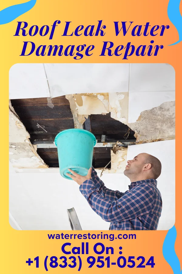 Roof Leak Water Damage Repair in Mebane, NC