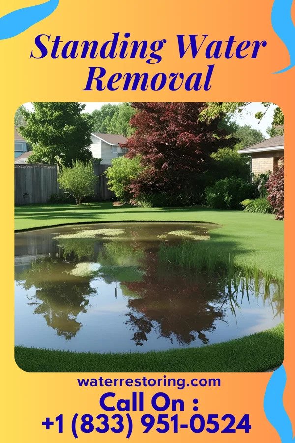 Standing Water Removal in Mebane, NC